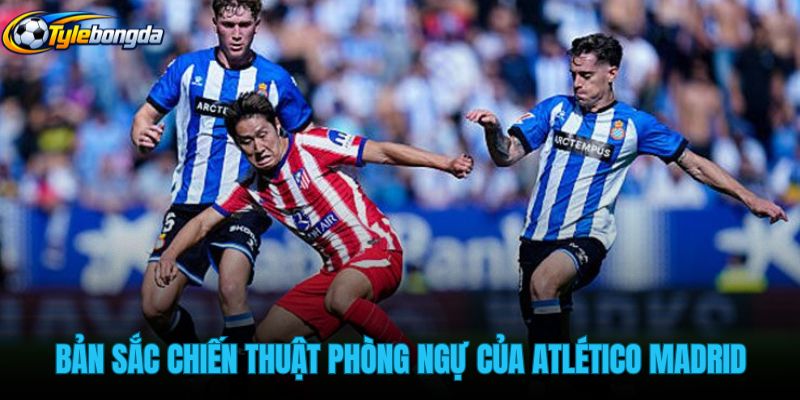 ban-sac-chien-thuat-phong-ngu-phan-cong-cua-atletico-madrid