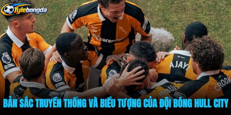 ban-sac-truyen-thong-va-bieu-tuong-cua-doi-bong-hull-city