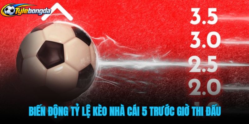 bien-dong-ty-le-keo-nha-cai-5-truoc-gio-thi-dau bien-dong-ty-le-keo-nha-cai-5-truoc-gio-thi-dau