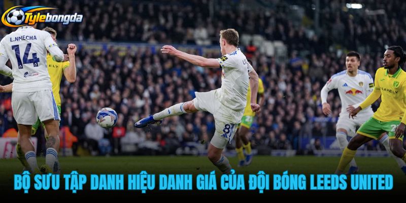 bo-suu-tap-danh-hieu-danh-gia-cua-doi-bong-leeds-united bo-suu-tap-danh-hieu-danh-gia-cua-doi-bong-leeds-united
