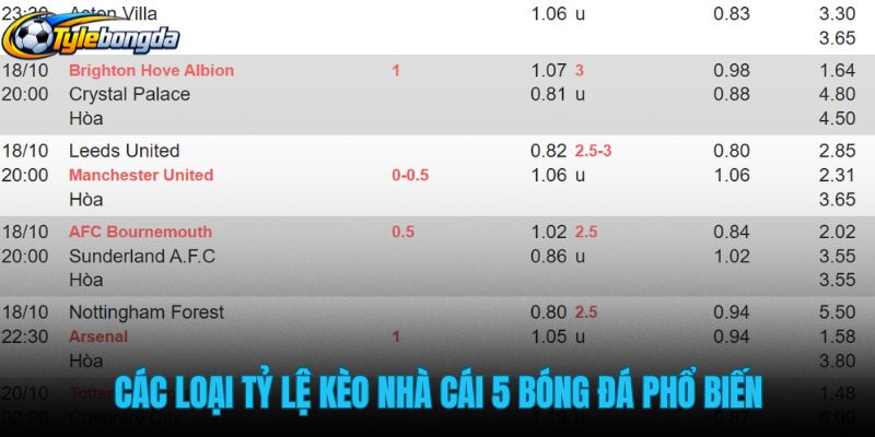 cac-loai-ty-le-keo-nha-cai-5-bong-da-pho-bien cac-loai-ty-le-keo-nha-cai-5-bong-da-pho-bien