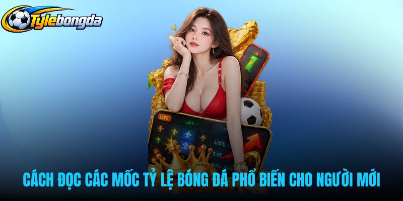 Thông số tỷ lệ bóng đá qua từng mốc cược phổ biến
