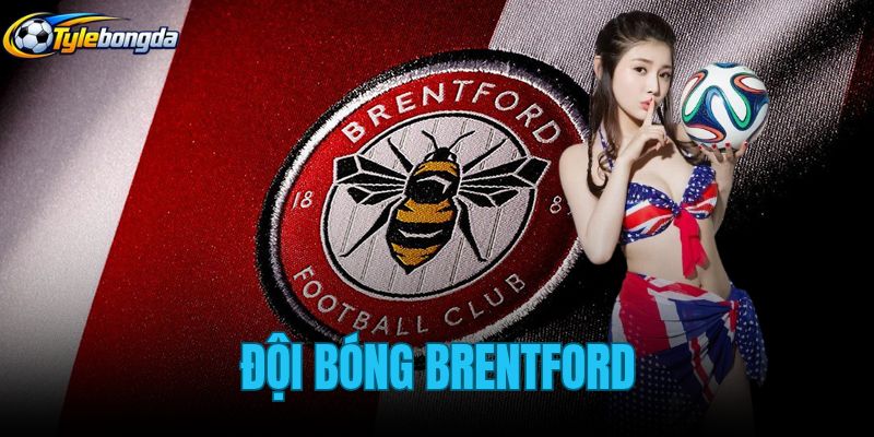 Đội Bóng Brentford
