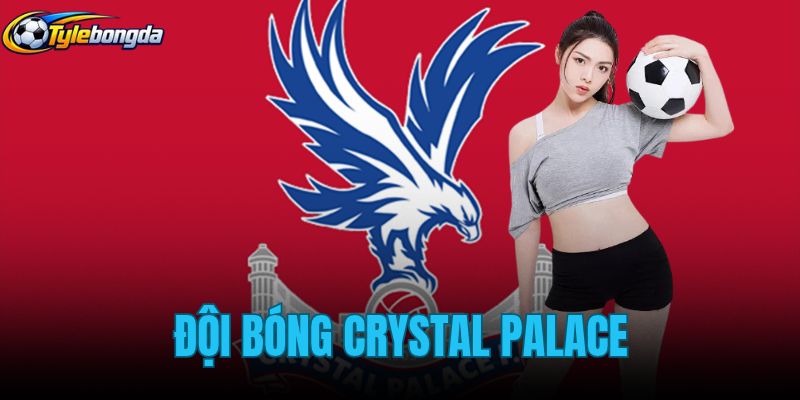 Đội Bóng Crystal Palace