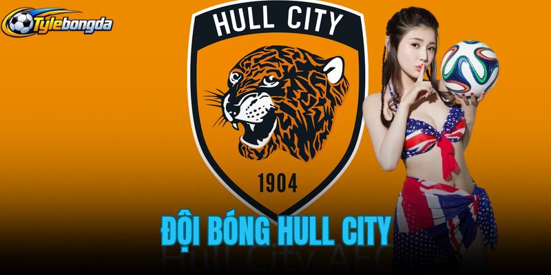 Đội Bóng Hull City