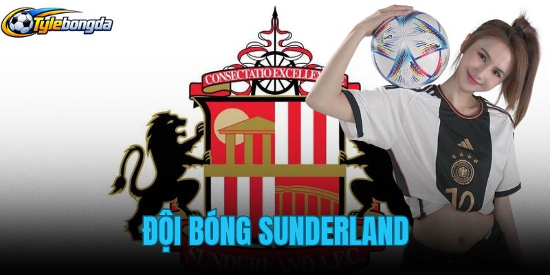 Đội Bóng Sunderland