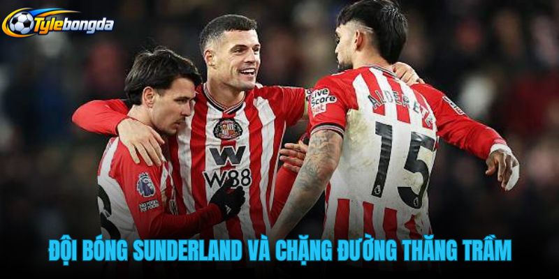 doi-bong-sunderland-va-chang-duong-thang-tram-qua-cac-giai-dau doi-bong-sunderland-va-chang-duong-thang-tram-qua-cac-giai-dau