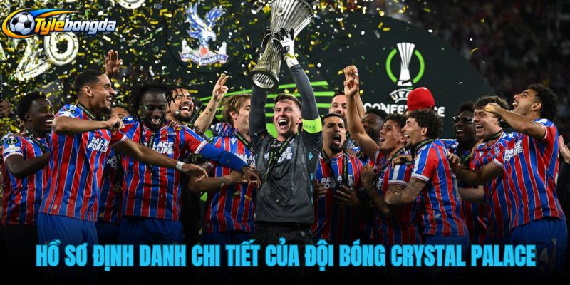 ho-so-dinh-danh-chi-tiet-cua-doi-bong-crystal-palace ho-so-dinh-danh-chi-tiet-cua-doi-bong-crystal-palace