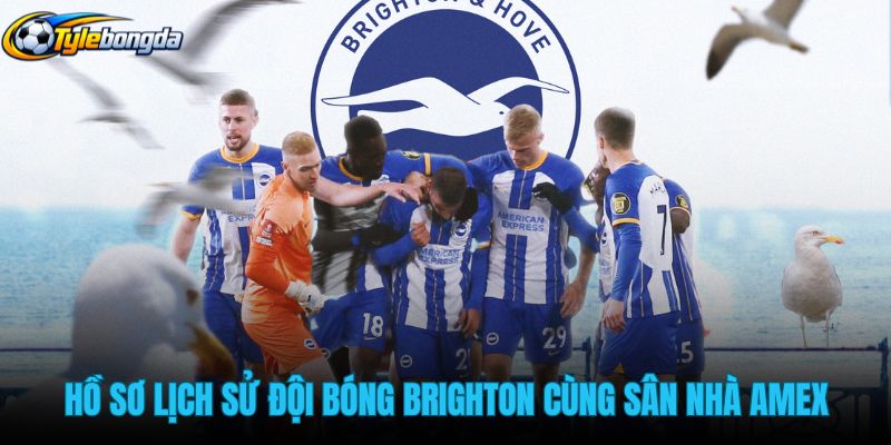 ho-so-lich-su-doi-bong-brighton-cung-san-nha-amex ho-so-lich-su-doi-bong-brighton-cung-san-nha-amex