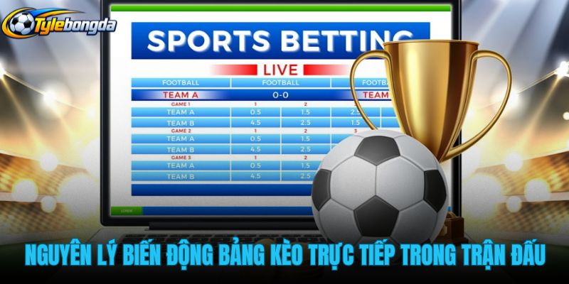 nguyen-ly-bien-dong-bang-keo-truc-tiep-trong-tran-dau