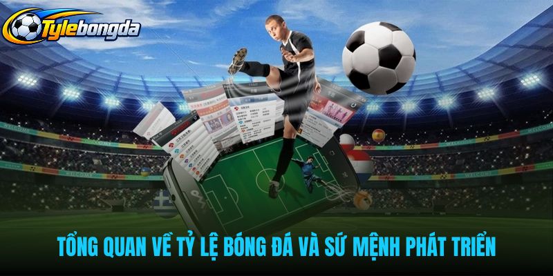 Hồ sơ giới thiệu tylebongda và sứ mệnh phát triển minh bạch